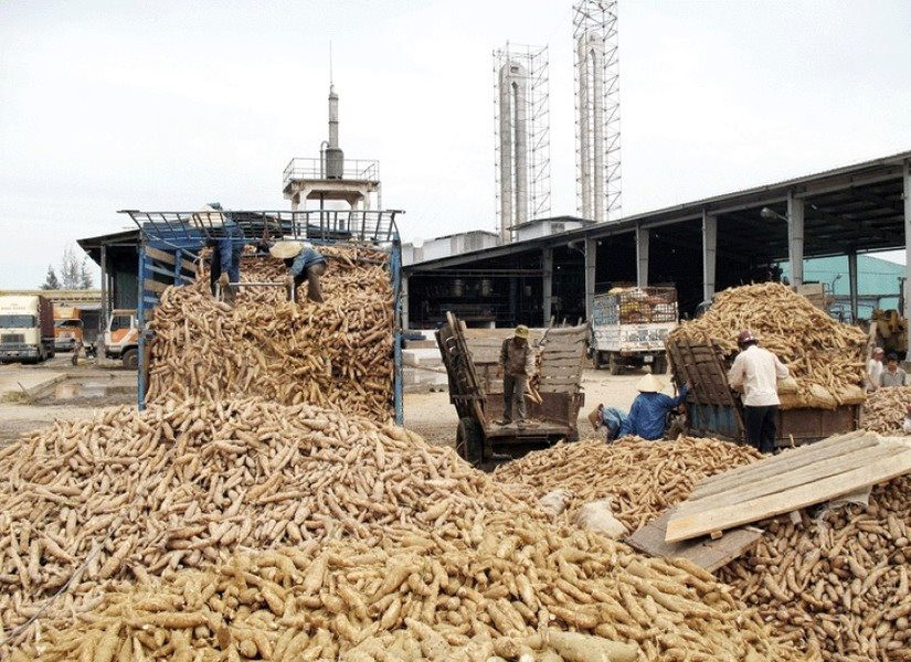Tây Ninh: Xử phạt 10 doanh nghiệp chế biến khoai mỳ xả thải không đúng quy chuẩn
