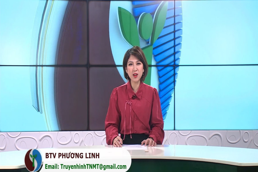 Bản tin Truyền hình TN&MT số 19/2024 (số 354)