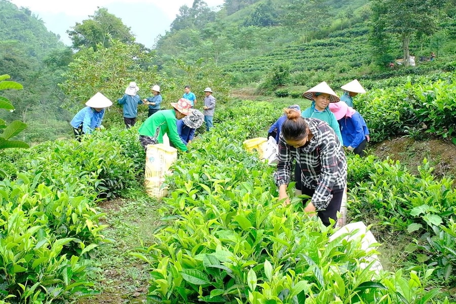 Mường Khương (Lào Cai ): Nhiều cách làm hay trong công tác giảm nghèo