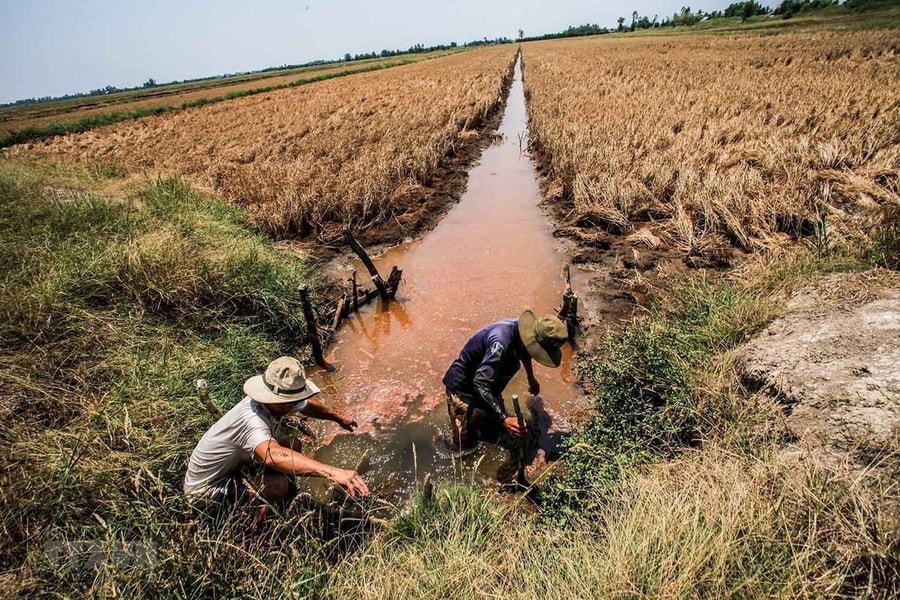 Ứng phó với hạn mặn, thiếu nước: Cần giải pháp căn cơ, lâu dài