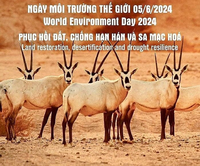 Hưởng ứng Ngày Môi trường thế giới 2024: Đẩy mạnh truyền thông, nâng cao ý thức cộng đồng