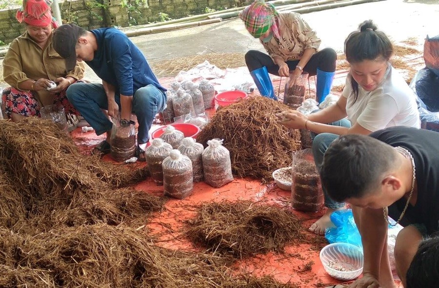 Điện Biên: Hội nông dân tổ chức dạy nghề cho hội viên