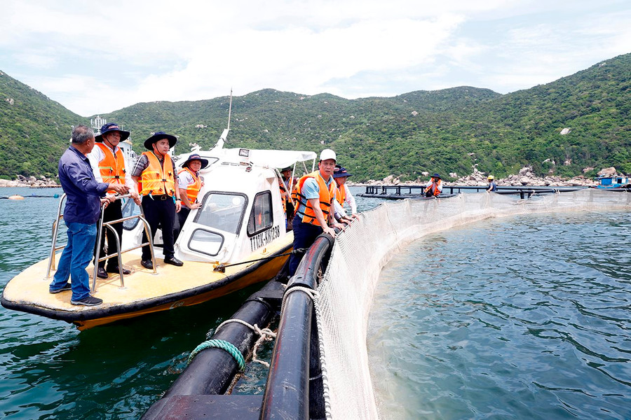 Bộ trưởng Đặng Quốc Khánh thăm mô hình nuôi trồng thủy sản thông minh tại khu vực Vịnh Vân Phong (Khánh Hòa)