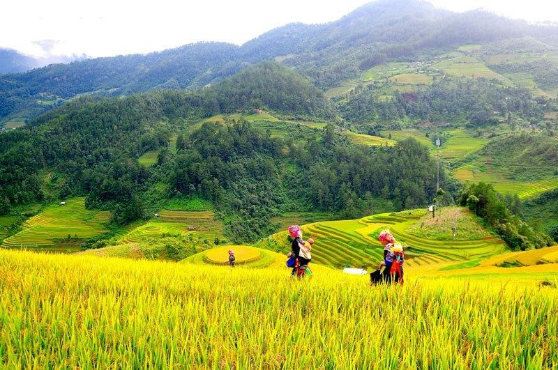 Luật Đất đai 2024: Quy định việc thực hiện các quyền sử dụng đất có điều kiện đối với đồng bào dân tộc thiểu số