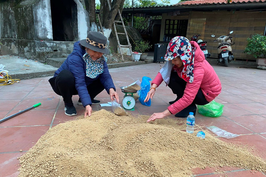 An Lão: Phụ nữ bảo vệ môi trường, nâng cao điều kiện sống