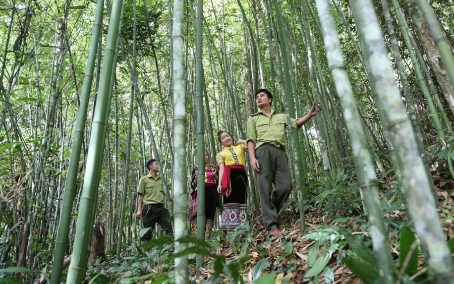 Nghệ An: Phê duyệt 79 cộng đồng dân cư tham gia hoạt động quản lý rừng hưởng lợi nguồn thu từ ERPA