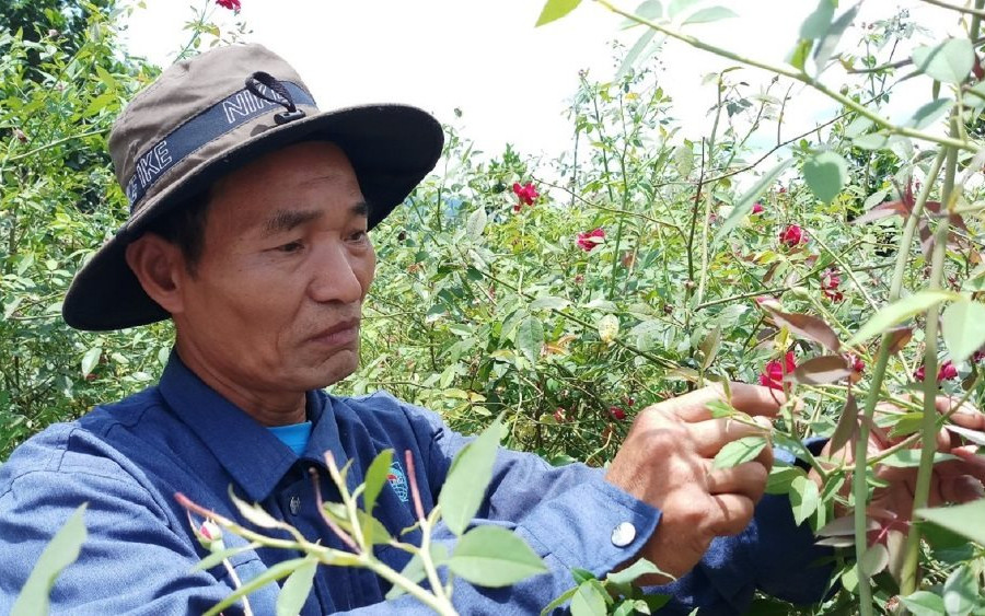 Người Cơ Tu và giấc mơ đổi đời mang tên " Ra Zéh"