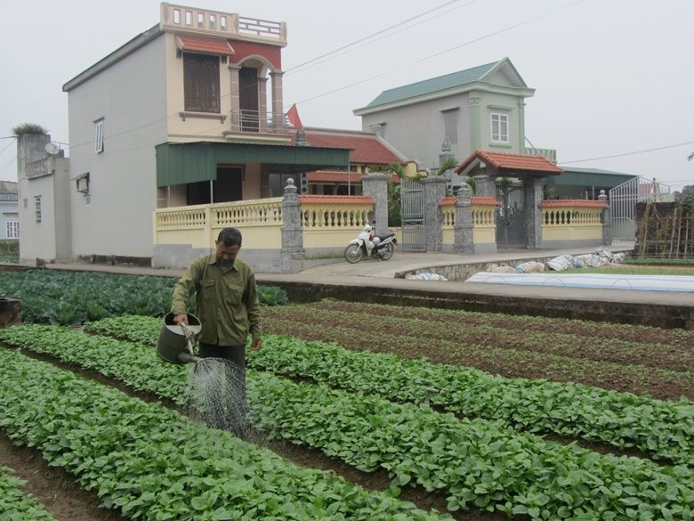 Phụ nữ Thái Bình giúp nhau phát triển kinh tế