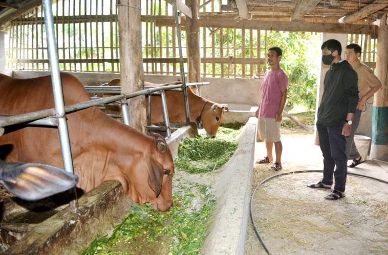 Điện Biên: Cầu nối giúp nông dân phát triển kinh tế