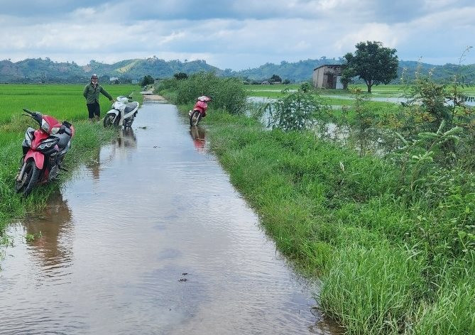 Đắk Lắk: Ngập lụt gây thiệt hại hơn 1.200 ha cây trồng