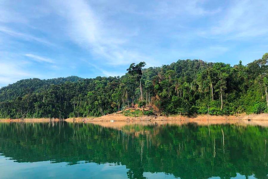 Quảng Nam: Nỗ lực tham gia thị trường carbon để giữ rừng
