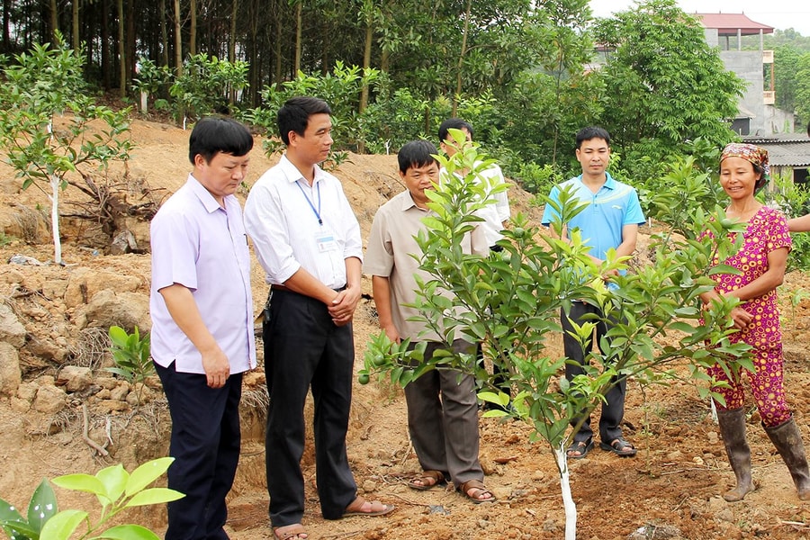 Bắc Giang: Hoàn thành nhiều dự án hỗ trợ sinh kế cho người nghèo