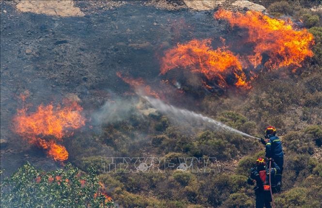 Hy Lạp, CH Bắc Macedonia chật vật ứng phó với cháy rừng lan rộng