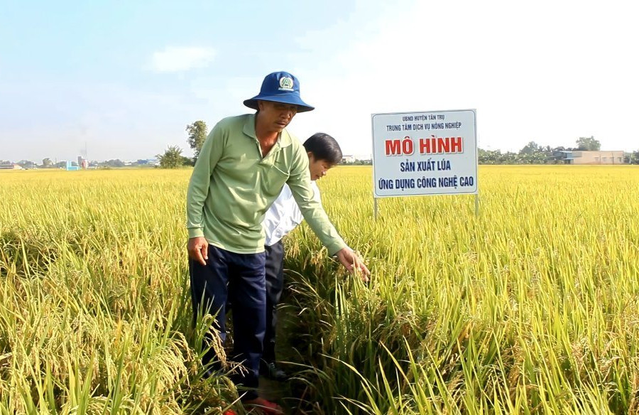 Long An: Công bố mức độ ô nhiễm đất