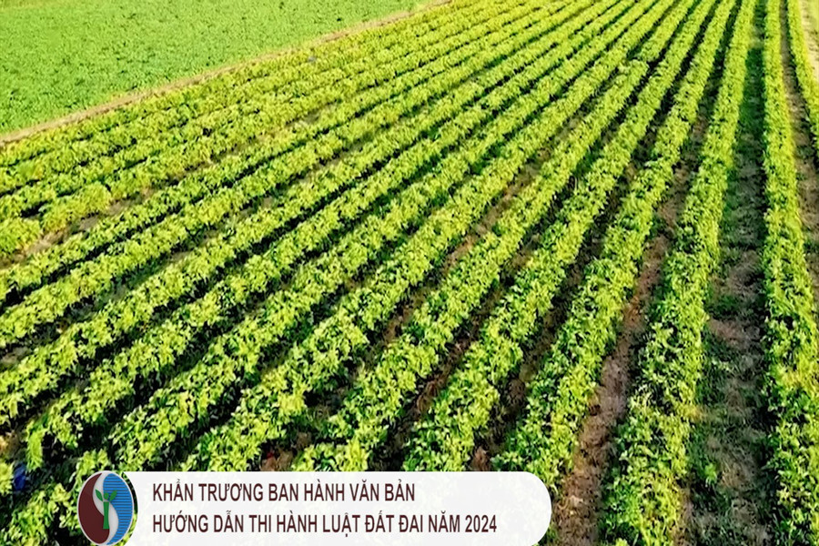 Khẩn trương ban hành văn bản hướng dẫn thi hành Luật Đất đai năm 2024, Luật BVMT