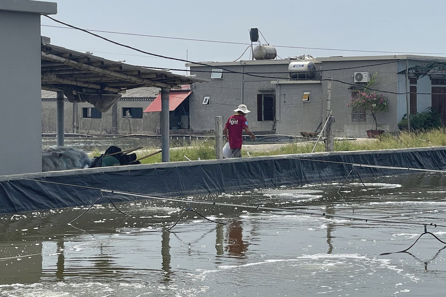 Làm giàu từ nuôi thủy sản bền vững