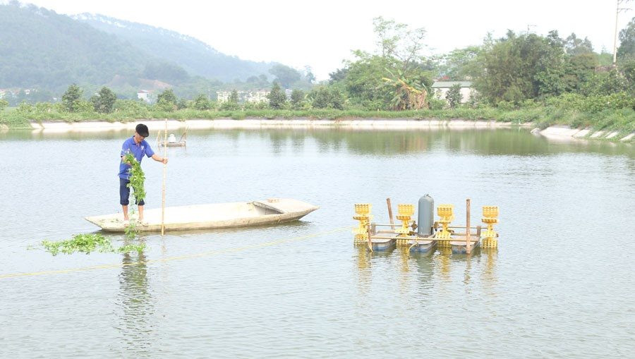 Hà Nam: Khơi dậy ý chí chủ động vươn lên thoát nghèo