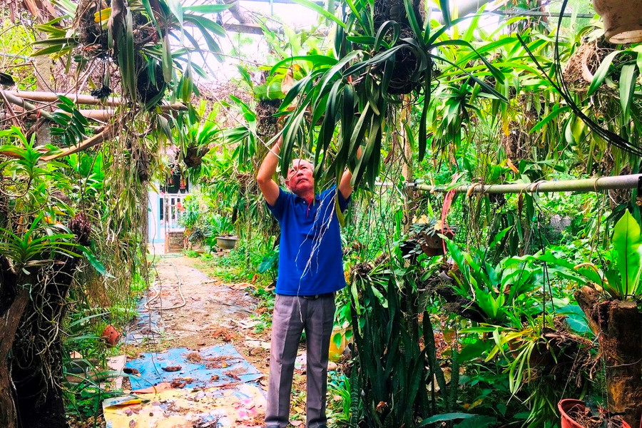 Bắc Kạn: Nông dân thi đua sản xuất kinh doanh giỏi