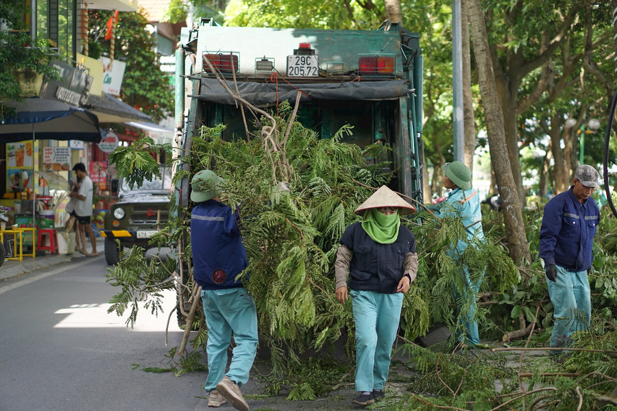 Hà Nội cắt, tỉa cây xanh ứng phó mưa dông