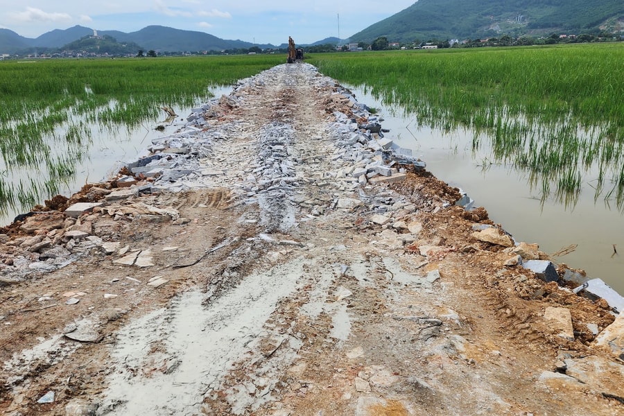 Vĩnh Lộc (Thanh Hóa): Cần xử lý nghiêm tình trạng san lấp đất nông nghiệp trái phép