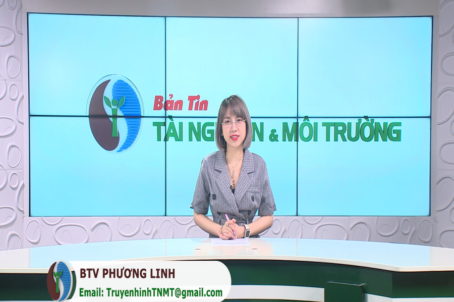 Bản tin Truyền hình TN&MT số 34/2024 (số 369)