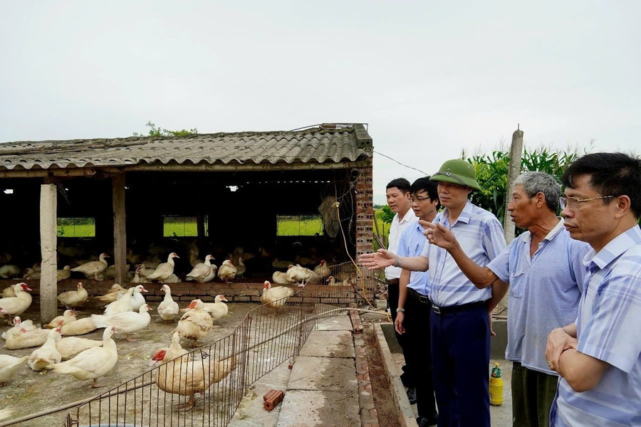 Thái Thụy (Thái Bình): Phát triển sâu rộng phong trào nông dân sản xuất kinh doanh giỏi