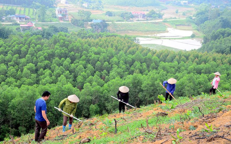 Huyện Đam Rông (Lâm Đồng): Tăng cường quản lý bảo vệ rừng