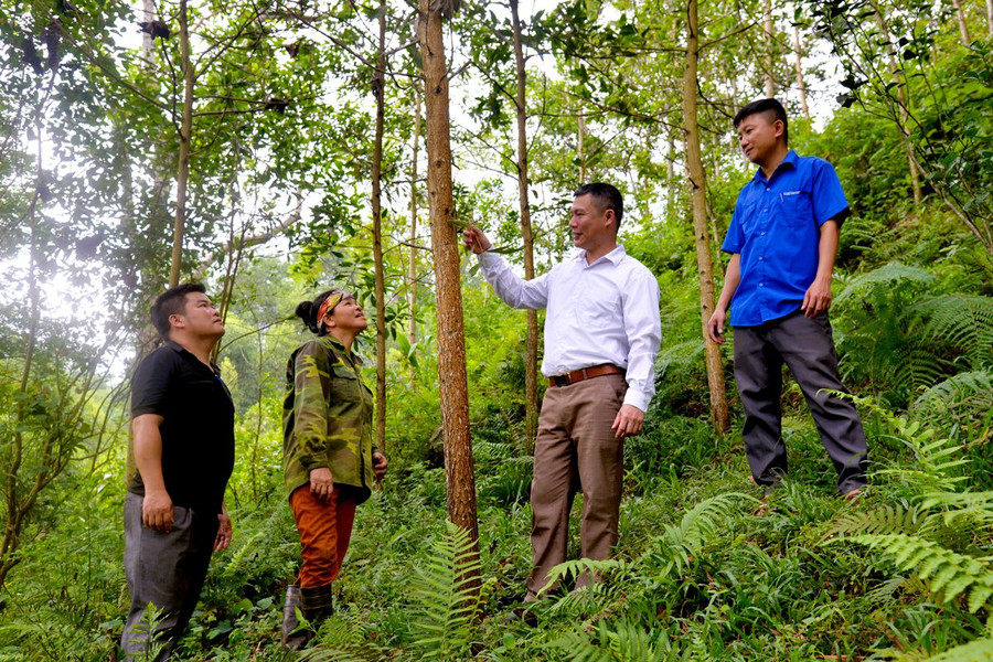 Yên Minh (Hà Giang): Dịch vụ môi trường rừng, giữ rừng thêm xanh