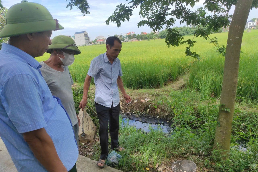 Bình Giang (Hải Dương): Hiệu quả mô hình thu gom, xử lý rác tại nguồn