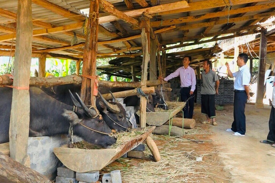 Trạm Tấu (Yên Bái): Sử dụng hiệu quả nguồn lực đầu tư giảm nghèo bền vững