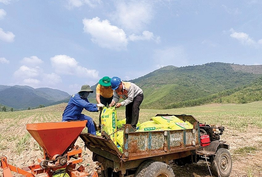 Phân bón Phú Mỹ và những mùa vụ ngọt ngào