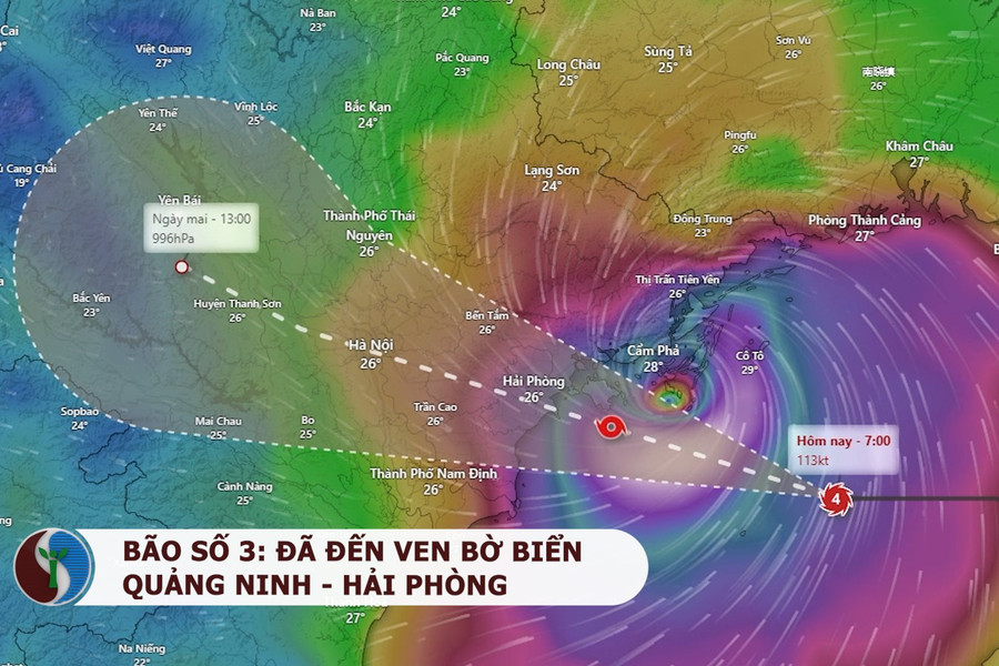 Bão số 3: Hà Nội đang gió giật cấp 9, cấp 10