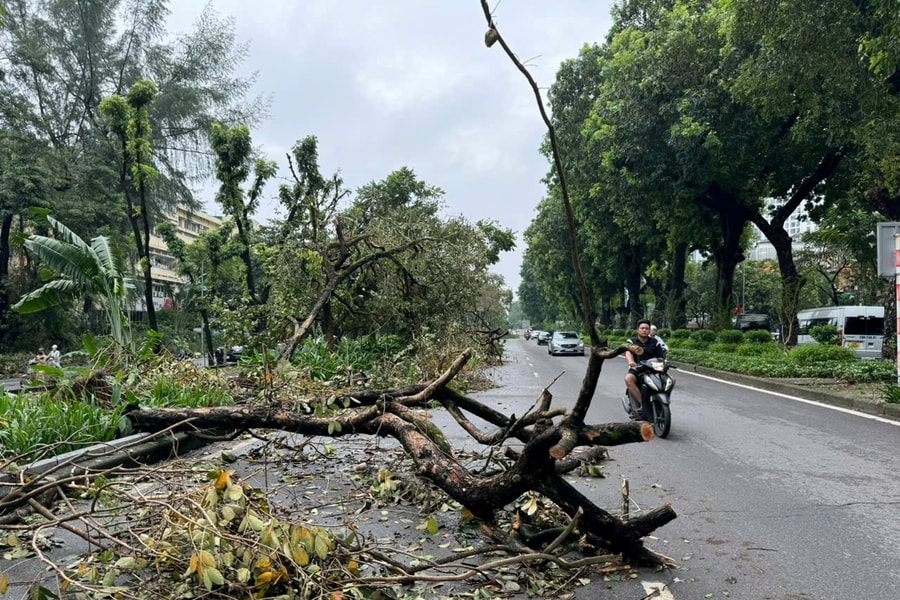 Hà Nội 5 ngày sau bão số 3: Còn nhiều cây xanh gãy, đổ chắn nửa đường - Người dân nơm nớp khi tham gia giao thông