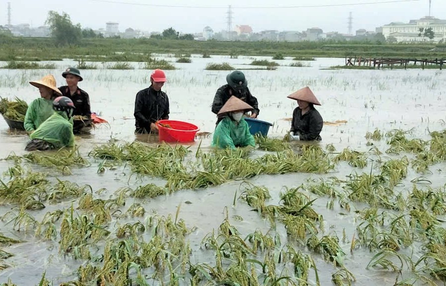 Thạch Thất (Hà Nội): Chủ động ứng phó khắc phục hậu quả sau bão số 3