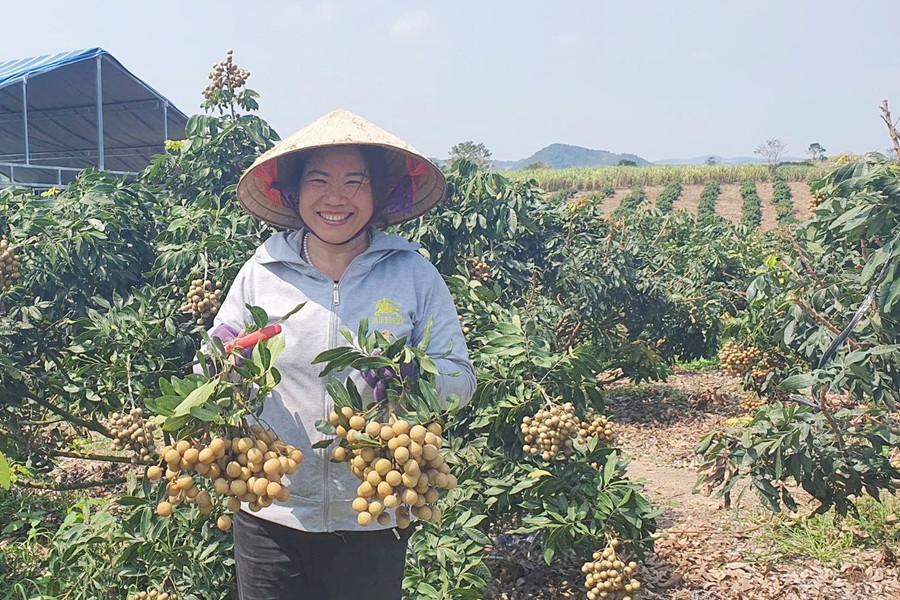 M’Drắk (Đắk Lắk): “Chạy nước rút” cho mục tiêu thoát nghèo