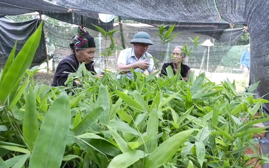 Lang Chánh (Thanh Hóa): Định hướng mới giúp người dân vươn lên thoát nghèo bền vững