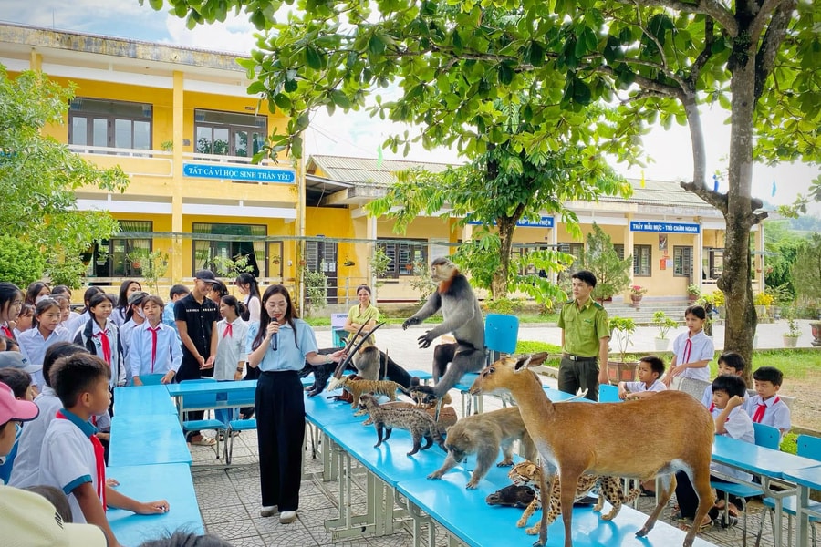 Thừa Thiên - Huế: Nhiều nỗ lực để bảo vệ động vật hoang dã