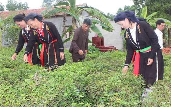 Thái Nguyên: Chính sách mới về đất đai cho đồng bào dân tộc thiểu số