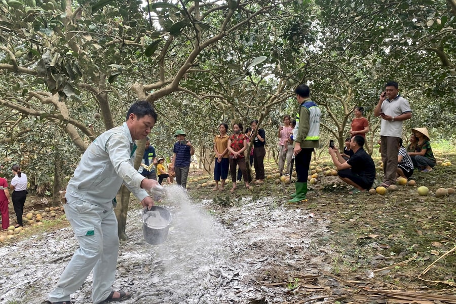 Yên Sơn (Tuyên Quang): Nỗ lực khắc phục thiệt hại, ổn định sản xuất sau bão lũ