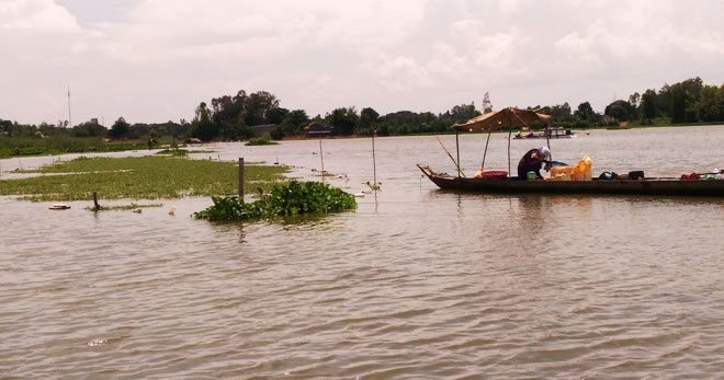 Cảnh báo nguy cơ ngập lụt ở miền Tây do nước sông Cửu Long dâng cao