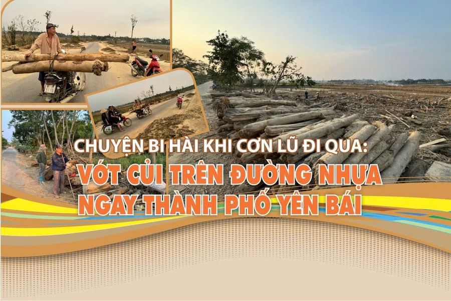 Chuyện bi hài khi cơn lũ đi qua: Vớt củi trên đường nhựa ngay TP Yên Bái