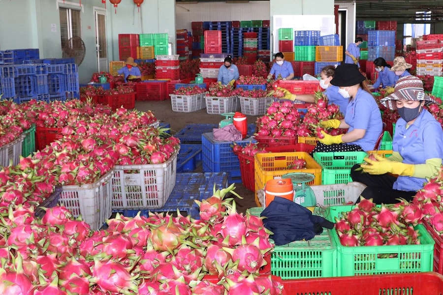 Phát huy lợi thế nông nghiệp để giảm nghèo