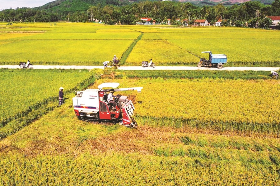 Phân quyền chấp thuận chuyển mục đích sử dụng đất trồng lúa