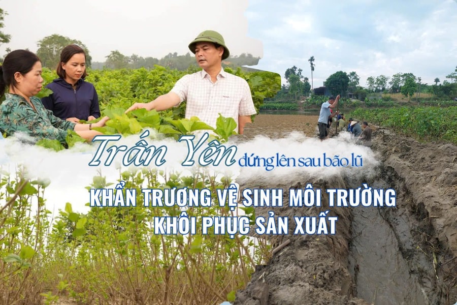 Trấn Yên đứng lên sau bão: Khẩn trương vệ sinh môi trường, khôi phục sản xuất