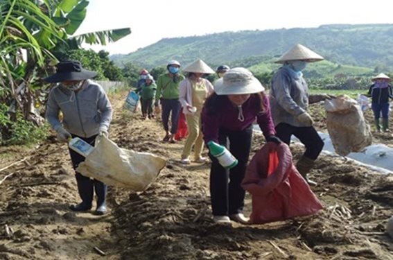 Gia Lai: Chất lượng môi trường chuyển biến tích cực