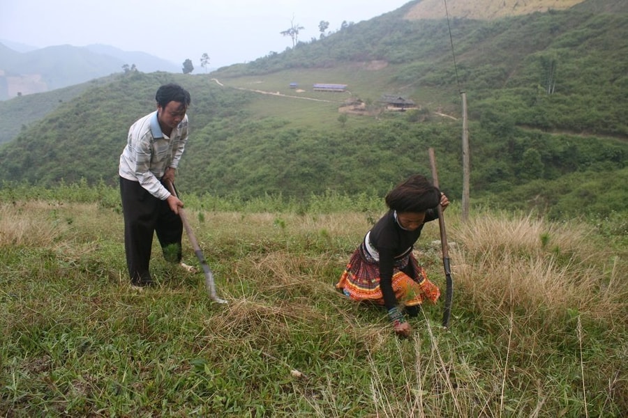 Sơn La: Khảo sát thực trạng thiếu đất ở, đất sản xuất nông nghiệp của hộ nghèo