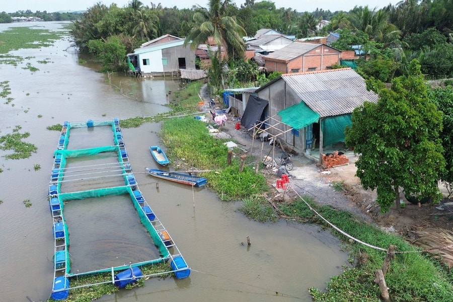 Long An: Chủ động ứng phó mưa lũ, triều cường