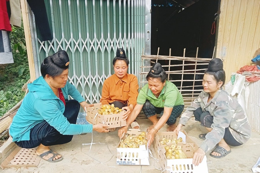 Tuần Giáo (Điện Biên) phụ nữ giúp nhau phát triển kinh tế