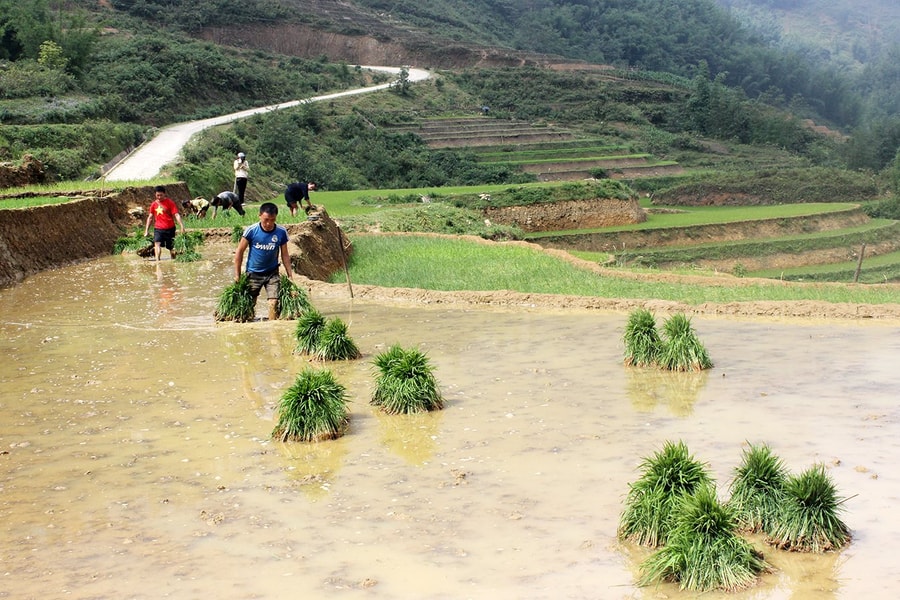 Lào Cai: Ban hành chính sách hỗ trợ đất đai cho đồng bào dân tộc thiểu số