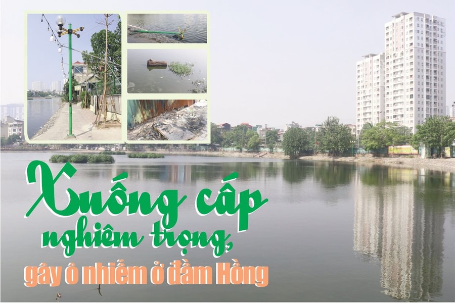 Xuống cấp nghiêm trọng gây ô nhiễm ở đầm Hồng